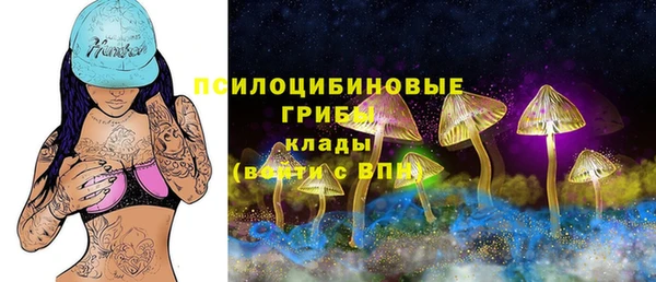 mdpv Аркадак