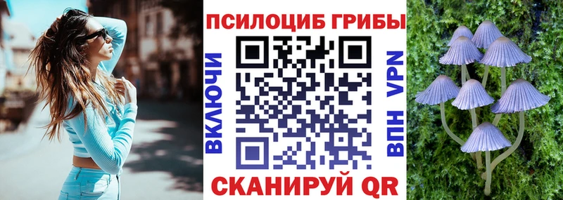 Галлюциногенные грибы мицелий  Городище 